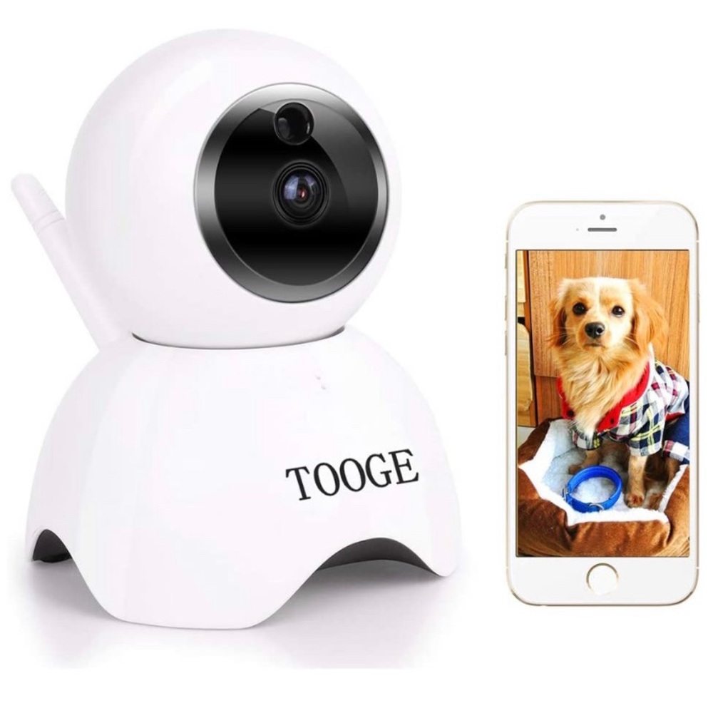 Dog camera
